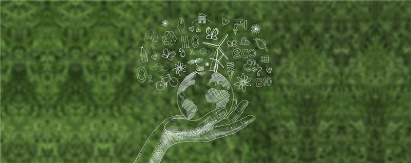 Institucionalização da abordagem de Uma Só Saúde no Brasil Institucionalização da abordagem de Uma Só Saúde no Brasil