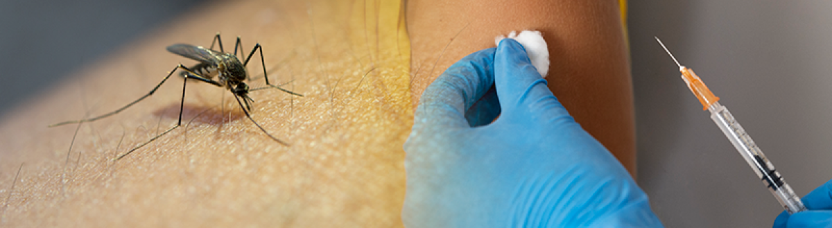 Saúde Única como abordagem primordial para vigilância de febre amarela