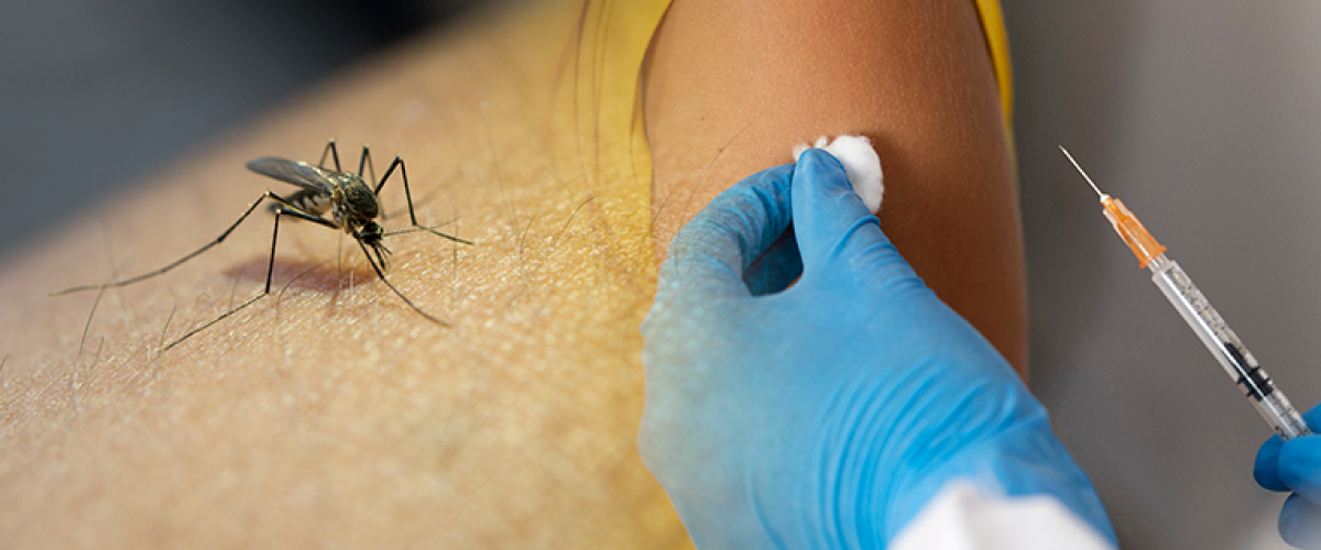 Saúde Única como abordagem primordial para vigilância de febre amarela