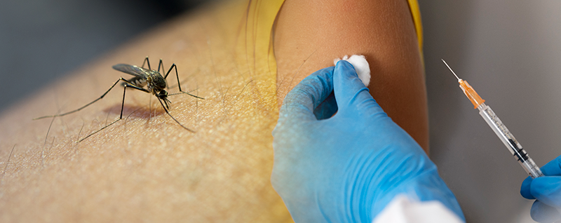 De um lado aparece o mosquito transmissor da febre amarela e do outro uma mão passando o algodão no ombro de uma pessoa e na outra mão uma seringa de vacina.