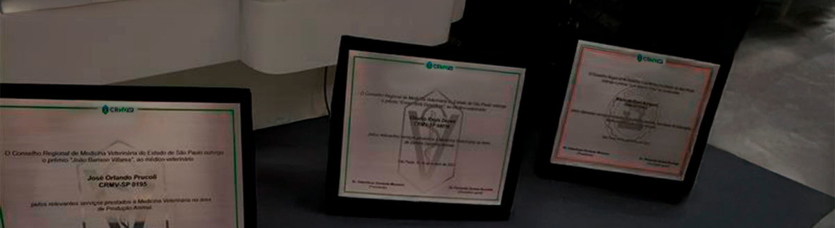 Premiação CRMV-SP 2025: A celebração de quem faz História