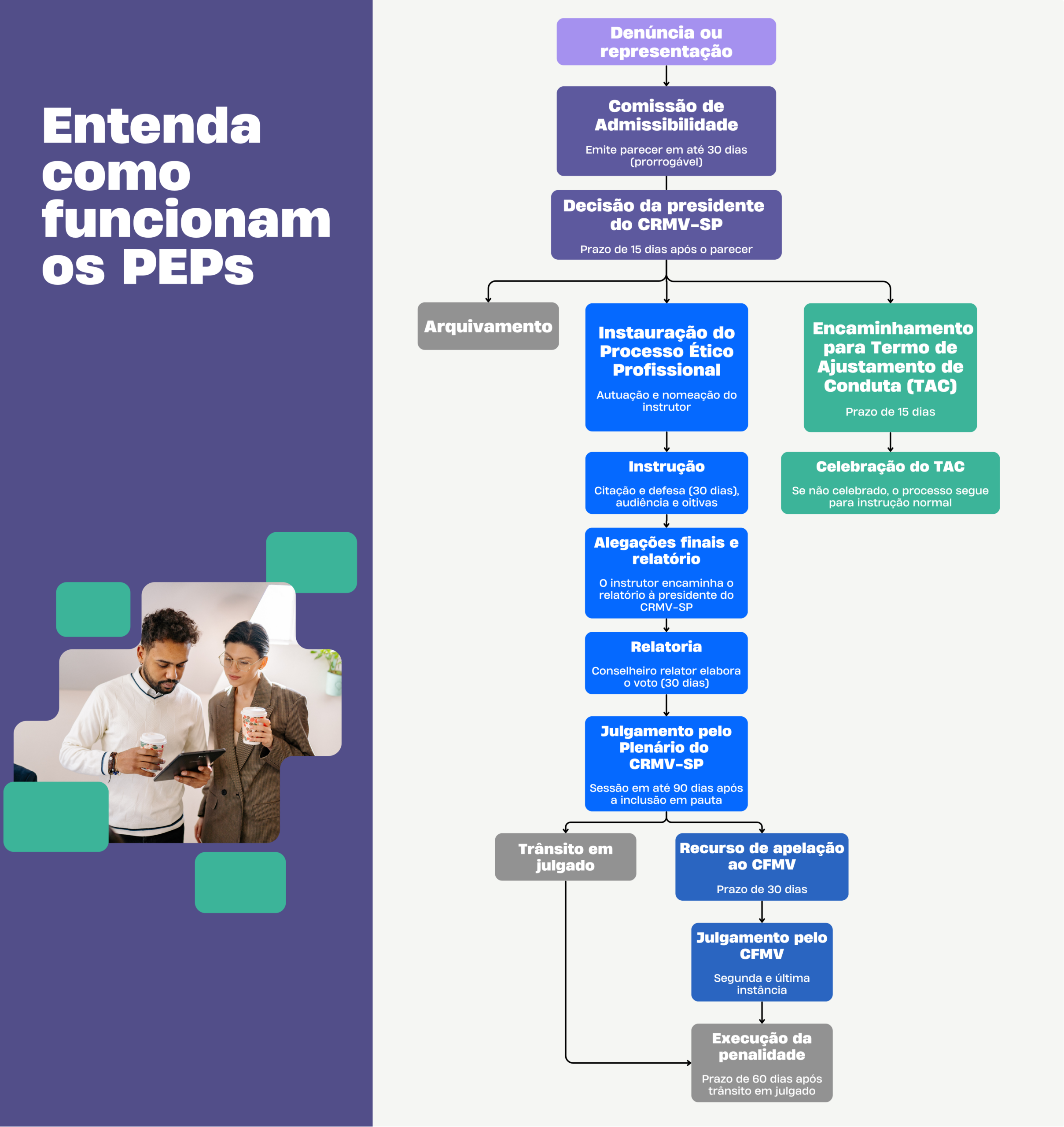 Imagem ilustrativa do fluxo de um processo ético-profissional dentro do CRMV-SP.