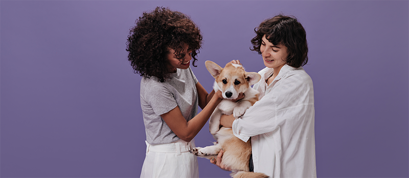 Uma médica-veterinária, com jaleco branco, segura um cão sem raça definida, que também é acariciado por uma outra mulher, que representa na imagem o responsável pelo animal.