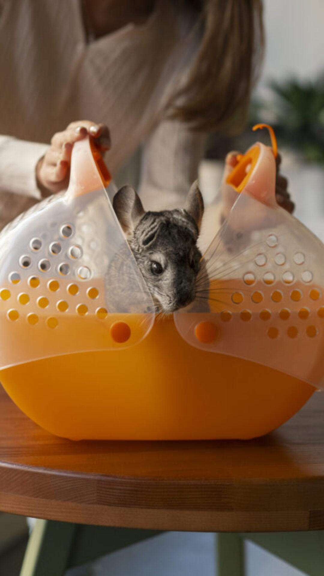 Pets Não Convencionais: um mercado em ascensão